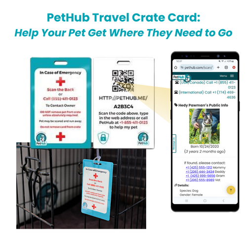 QR Pet Identification: Travel Crate Card