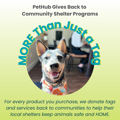 PetHub QR Pet ID Tag – Absent Without a Leash (AWOL)