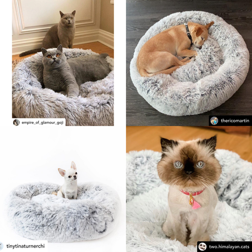 Mr. Peanut's 28 OrthoPlush® Pet Bed - Snowflake White Two Tone