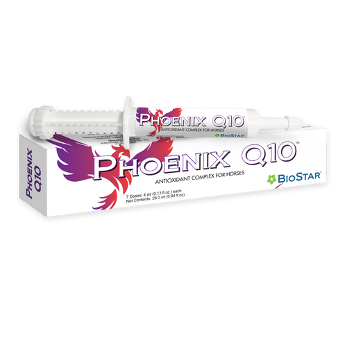 Phoenix Q10