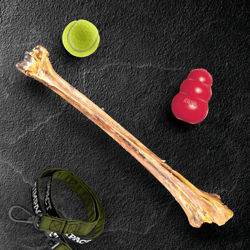 Ostrich Long Bone (19 x 3.5): The Ultimate Challenge for Medium, Large & Extra-Large Dogs