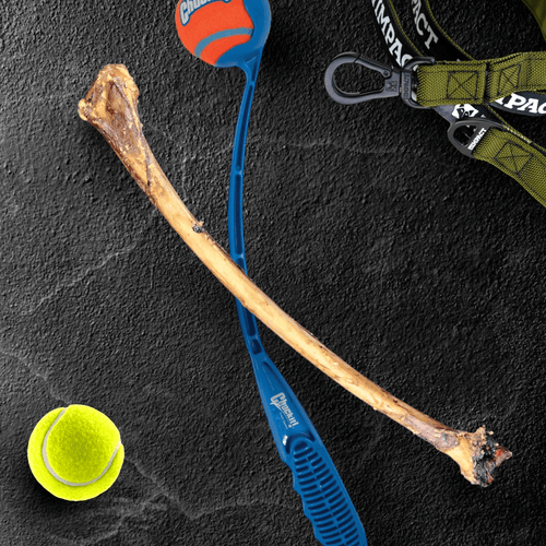 Ostrich Wing Bone (13 x 1.5): The Ultimate Long-Lasting Chew for Small Dogs & Light Chewers