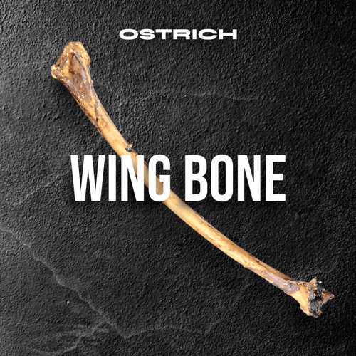 Ostrich Wing Bone (13 x 1.5): The Ultimate Long-Lasting Chew for Small Dogs & Light Chewers