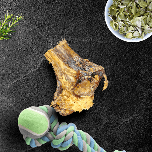 Large Ostrich Knuckle (5.5 x 5): The Ultimate Chew for Moderate & Power Chewers