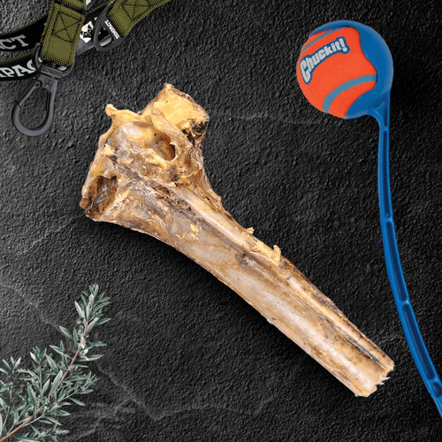 Large Ostrich Cane (11.5 x 5): The Ultimate Long-Lasting Chew for Medium, Large & XL Dogs