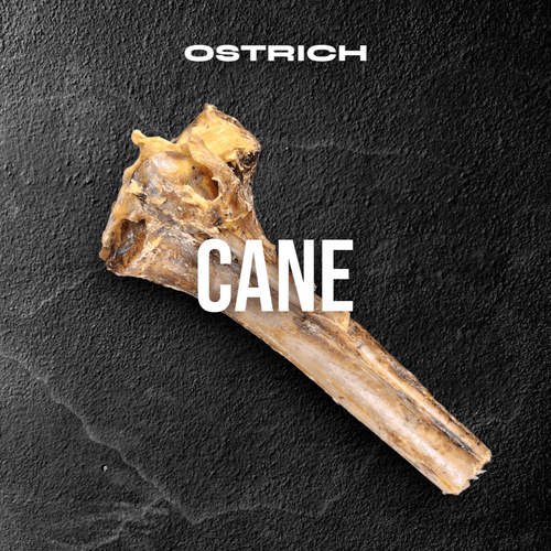 Large Ostrich Cane (11.5 x 5): The Ultimate Long-Lasting Chew for Medium, Large & XL Dogs