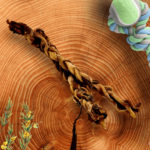 Ostrich Tendon Twister (16 x 2.5 x 1): The Satisfying, All-Natural Chew for Dental Health & Joint Support