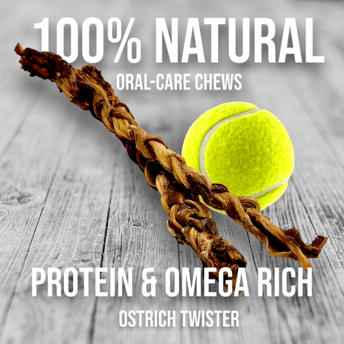 Ostrich Tendon Twister (16 x 2.5 x 1): The Satisfying, All-Natural Chew for Dental Health & Joint Support