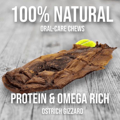 Chewy Ostrich Whole Gizzard: The Protein & Omega-3 Rich, Natural Dog Chew Treat