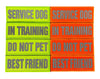 REFLECTIVE HIGH VISIBILITY NEON Tag Patch