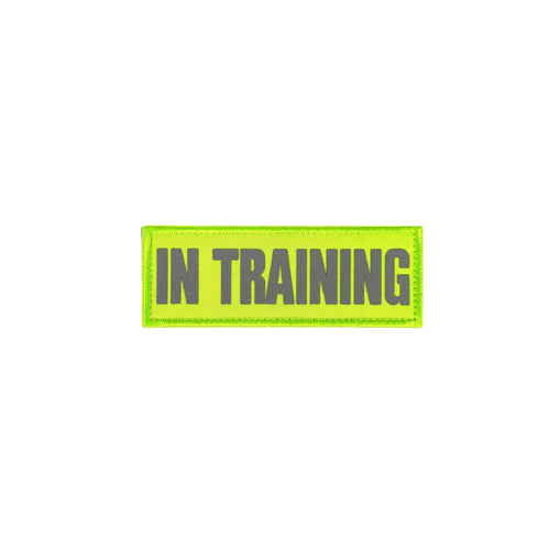 REFLECTIVE HIGH VISIBILITY NEON Tag Patch