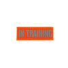 REFLECTIVE HIGH VISIBILITY NEON Tag Patch