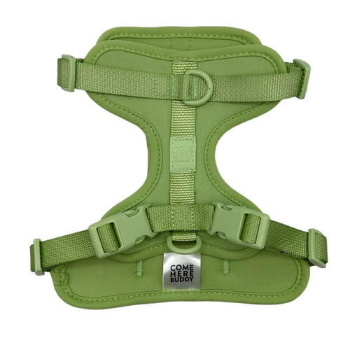 Harness