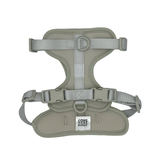 Harness
