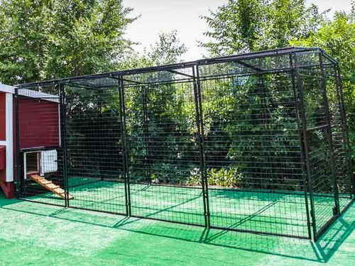 Walk-In 15 ft. Chicken Run (6'6W x 15'L x 6'3H)
