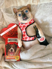 Luxury Red Lips Breathable Mesh Harness Chest Back + Traction