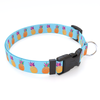 Pineapple Party Blue Dog Collar