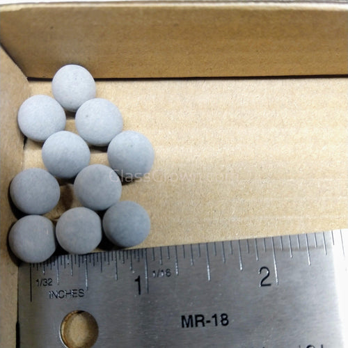 Pollen Shrimp Enrichment Pack