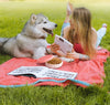 Portable 2-in-1 Pet Travel Bowl