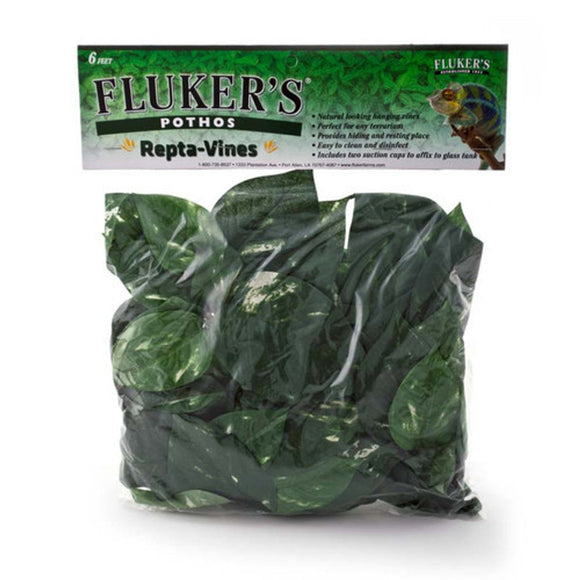 Fluker's Pothos Repta-Vines