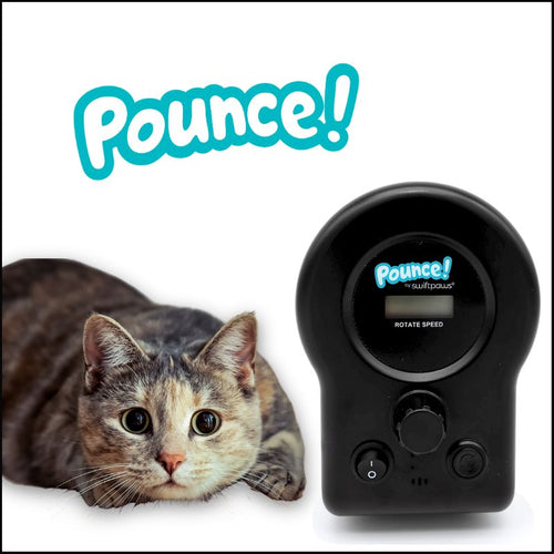 Pounce! Kit
