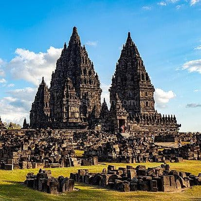 RARE Prambanan Snails 3 Pack