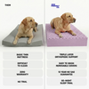 Premium Orthopedic Memory Foam Dog Bed - Charcoal (Medium) (LP)