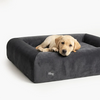 Premium Orthopedic Memory Foam Dog Bed - Charcoal (Medium) (LP)