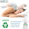 Bed Bug & Mite Killer Spray 128 oz | Natural & Non-Toxic | Premo Guard
