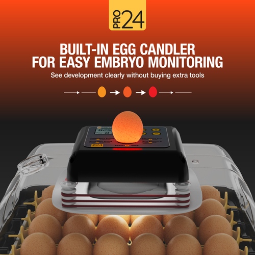 Pro24 Tabletop Automatic Egg Incubator (24 Eggs)