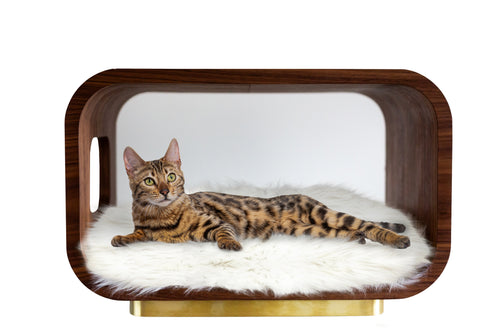 The LUNA Bed in Walnut
