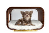 The LUNA Bed in Walnut