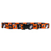 Pumpkin Patch Dog Collar
