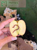Pure Red Wiggler Composting Worms (SC)