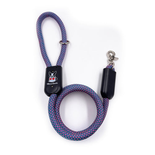 Rope Leash - Rainbow Reflective