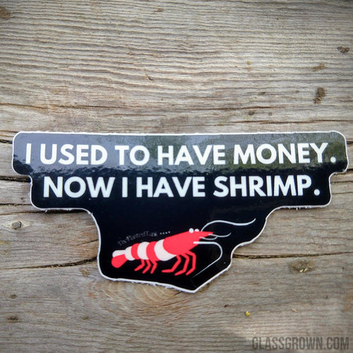 Red Cherry Shrimp Decal Sticker