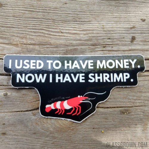 Red Cherry Shrimp Decal Sticker