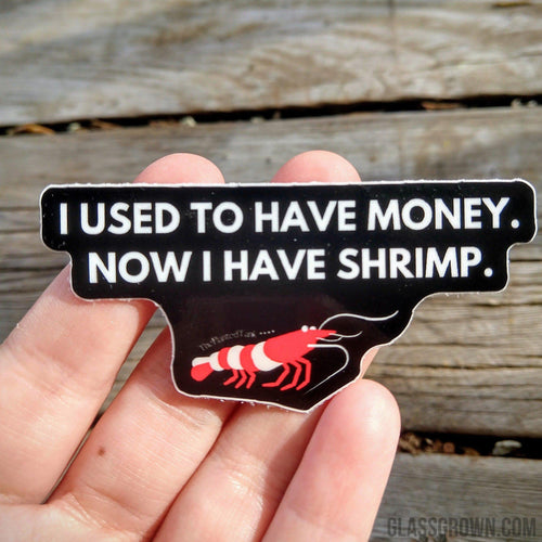 Red Cherry Shrimp Decal Sticker