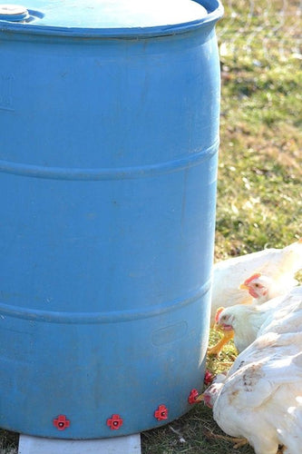 Make Your Own Chicken Waterer Kit - Horizontal Chicken Nipples 50-Pack + Installation Piece