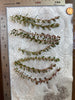 Rotala Rotundifolia Red (8 stems)