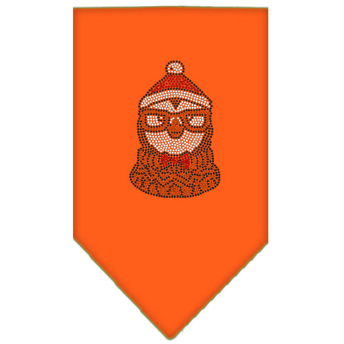 Christmas Pet and Dog Bandana Rhinestone, Hipster Penguin