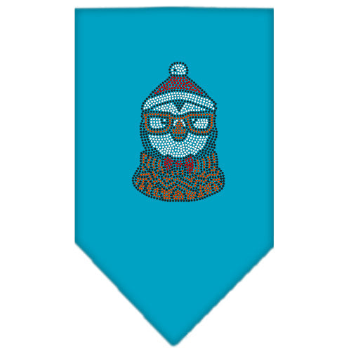 Christmas Pet and Dog Bandana Rhinestone, Hipster Penguin