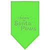 Christmas Pet and Dog Bandana Rhinestone, I Believe In Santa Paws