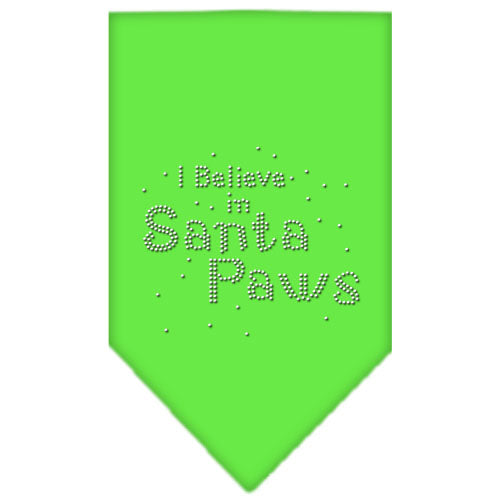 Christmas Pet and Dog Bandana Rhinestone, I Believe In Santa Paws