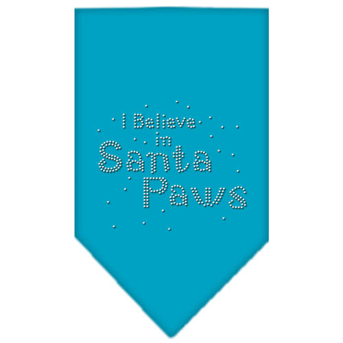 Christmas Pet and Dog Bandana Rhinestone, I Believe In Santa Paws