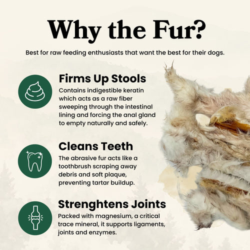 Rabbit Skin with Hair - Dog Treats