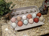 Rainbow Egg Assortment – Buy 10 + 5 Bonus Free (15 All-Female, Shipping Included)