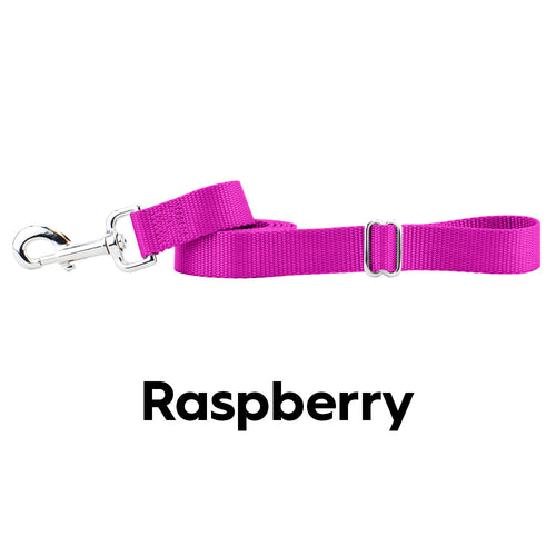 Raspberry Nylon Dog Leash