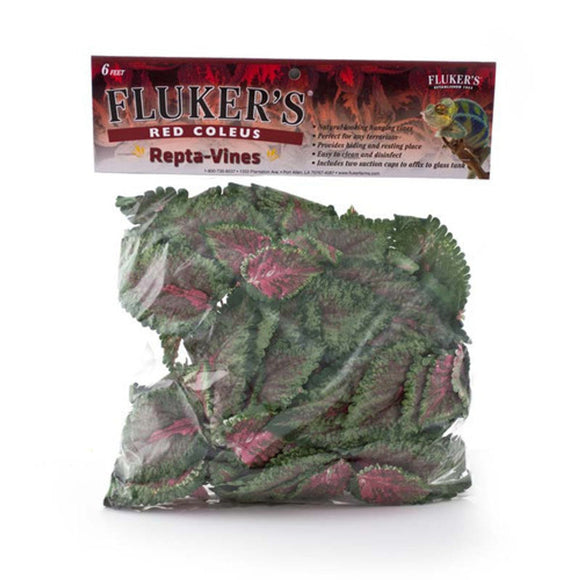 Fluker's Red Coleus Repta-Vines