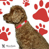 Fabric Dog Collar - Red